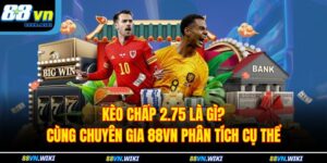 Kèo Chấp 2.75 Là Gì? Cùng Chuyên Gia 88VN Phân Tích Cụ Thể 13 Kèo Chấp 2.75 Là Gì