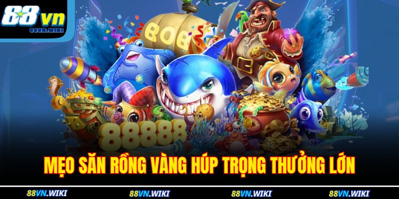 Mẹo săn rồng vàng húp trọng thưởng lớn